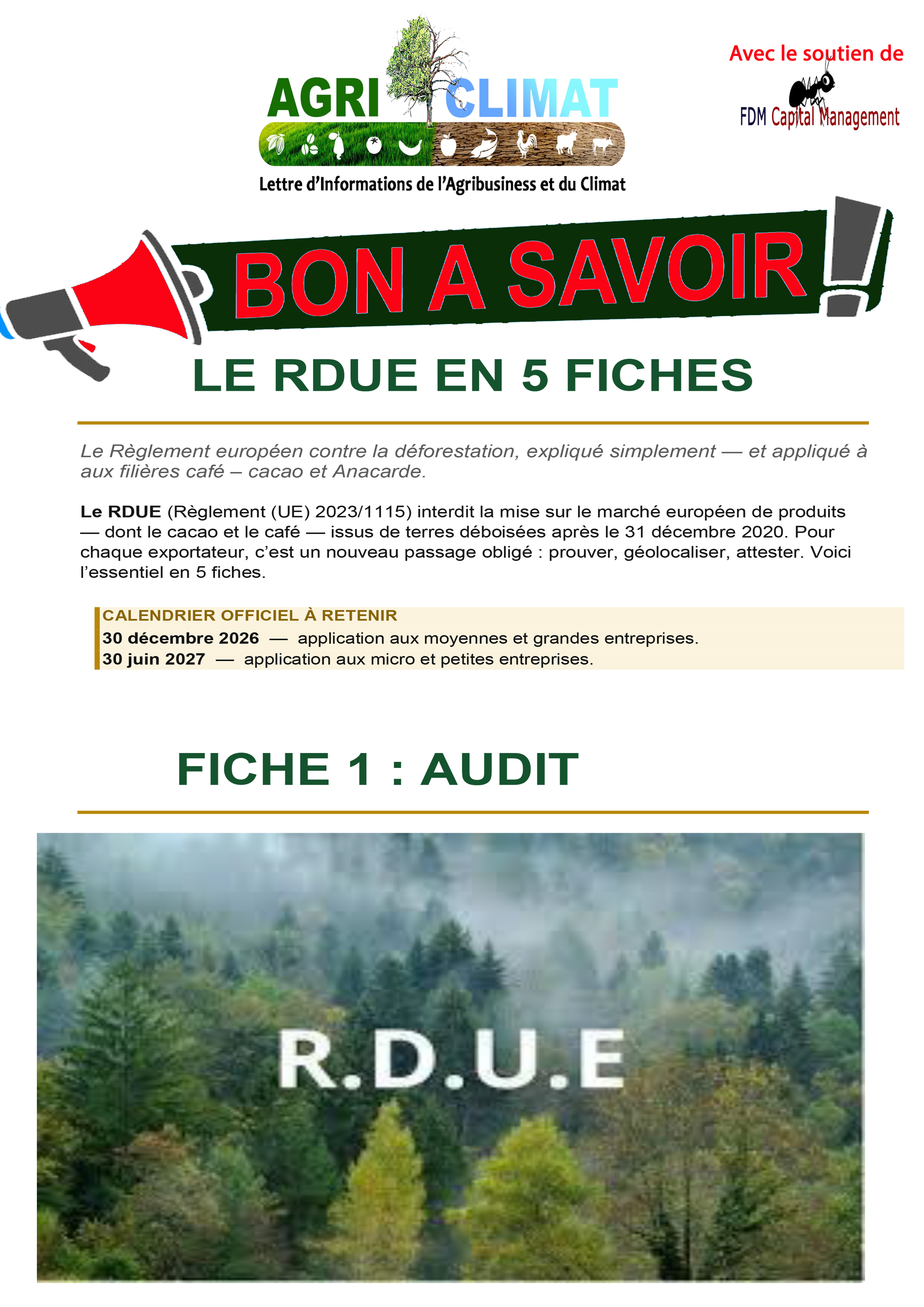 RDUE EN 5 FICHE